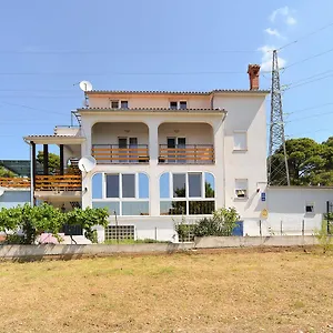 Dino 1355 Pula