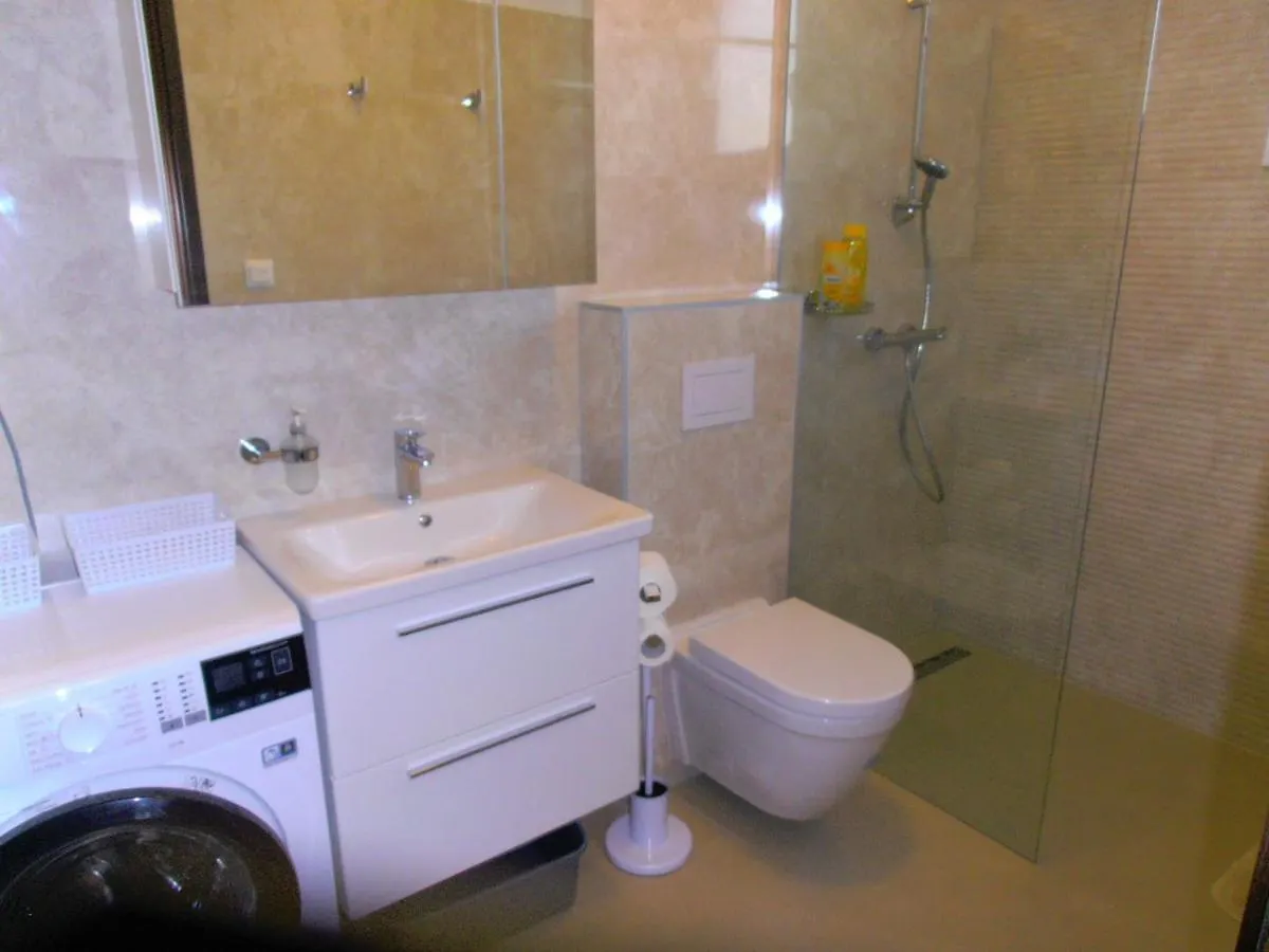 Apartment Steblaj Πούλα 0*,